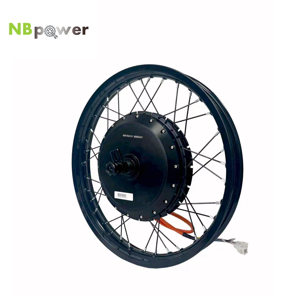 Qs Motor 273 8000W Hub Motor - Ruota Posteriore con Motore NBpower/170mm Dropout