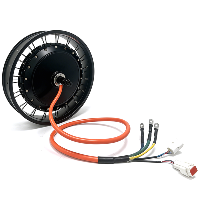 NBpower/QS 273 40H 48-96v Pote - Qs Motor 273 8000W Hub Motor recensione e prezzo