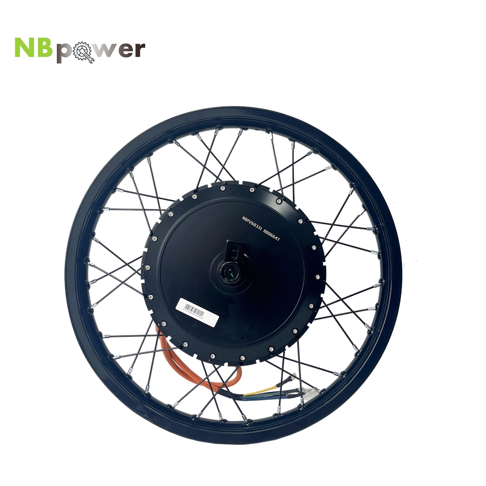 Ruota Posteriore con Motore NB - Qs Motor 273 8000W Hub Motor recensione e prezzo